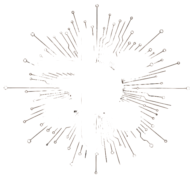 FLICS 2027 logo